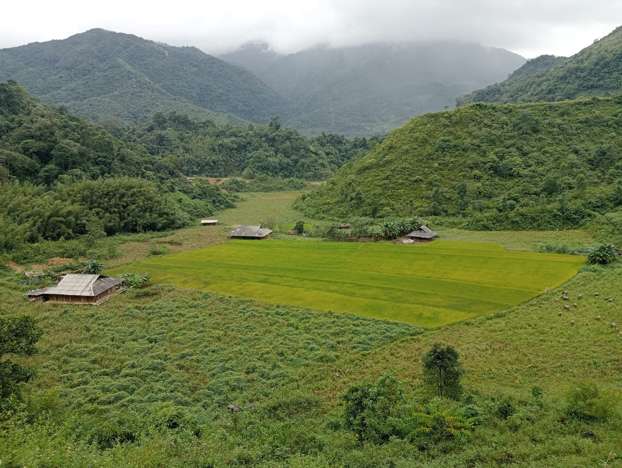 Ha Giang Bike Loop 5 Days